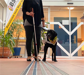 Blindenleitsystem, Person mit Blindenstock, Blindenführhund im Büro des BSVOÖ